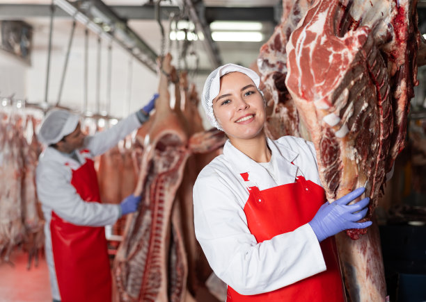 屠宰场女工正在检查挂着的生牛尸体图片下载