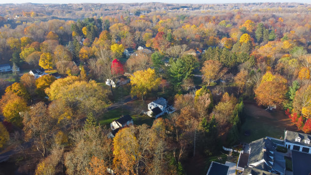 美国纽约州北部罗切斯特市，色彩缤纷的秋叶环绕着低密度的两层独栋房屋的鸟瞰图图片下载