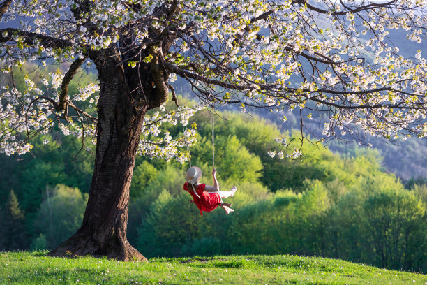 春天的樱桃风光，满是鲜花和绿叶。一个戴着帽子，穿着红衣服的女孩在树下荡秋千。图片下载