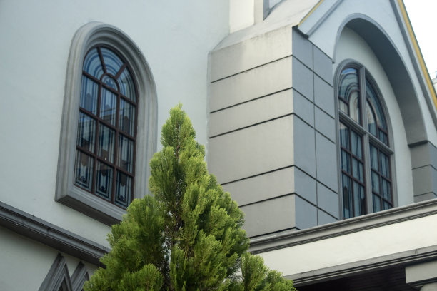 那棵树的顶端在那幢大楼的两扇窗户之间图片下载