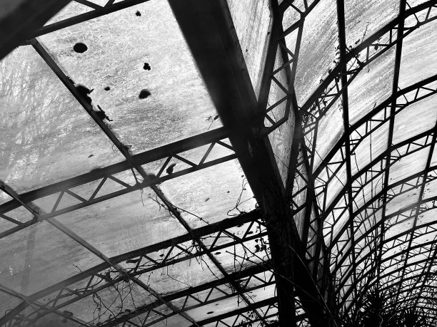 废弃的杂草丛生的温室图片下载