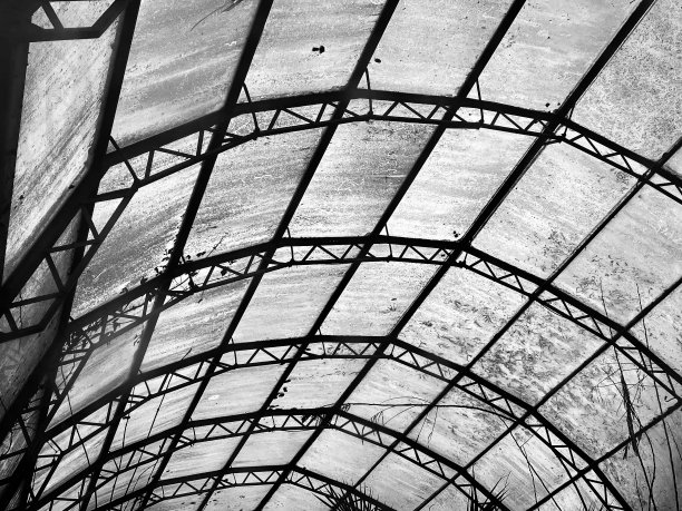 废弃的杂草丛生的温室图片下载