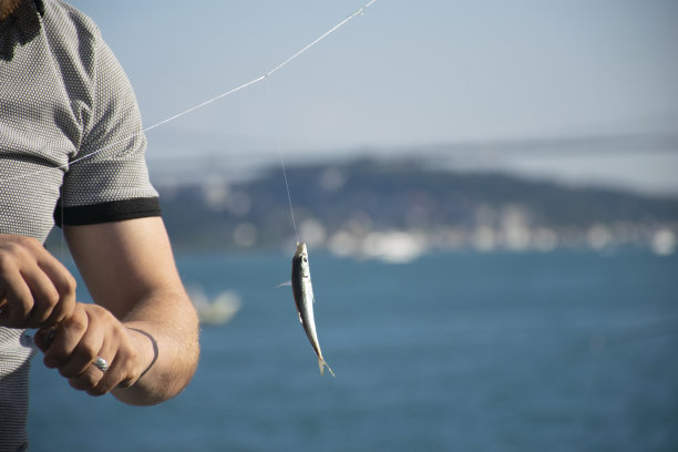 一个男人手上的钩子上挂着刚钓上来的马鲛鱼图片下载