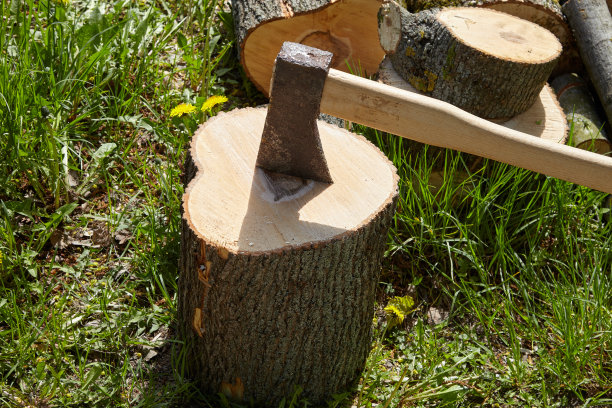 在一个晴朗的日子里用一把旧斧头砍树图片下载