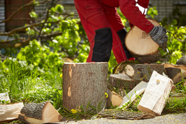 在一个晴朗的日子里用一把旧斧头砍树图片下载