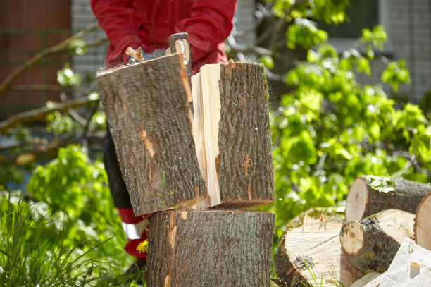 在一个晴朗的日子里用一把旧斧头砍树图片下载