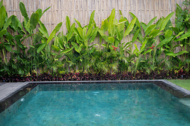 私人度假别墅游泳池图片下载