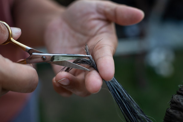 护工，剪她的老太太头发图片下载