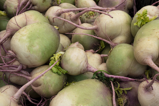 农贸市场的有机西瓜萝卜特写图片下载