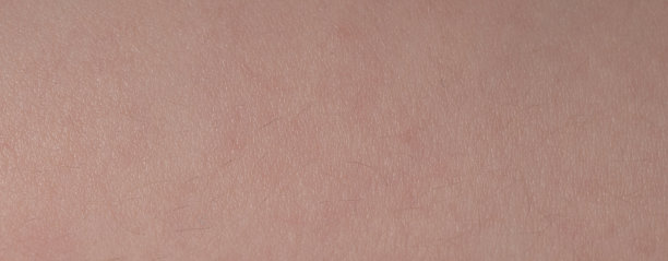 粉红色的皮肤纹理和小毛发图片下载