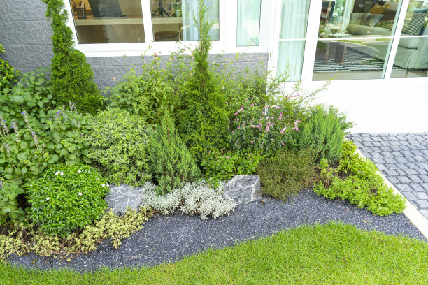 小花园中有绿色植物和树木的露台。舒适的花园角落，盆栽植物。图片下载