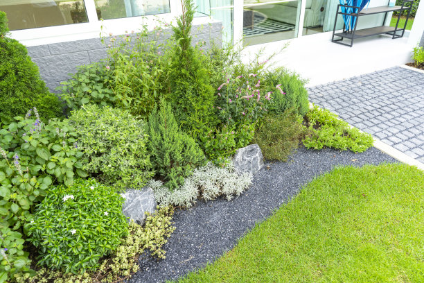 小花园中有绿色植物和树木的露台。舒适的花园角落，盆栽植物。图片下载