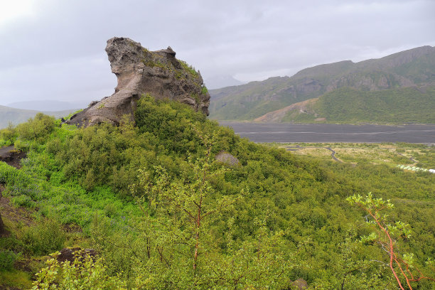 冰岛美丽的绿色植被图片下载