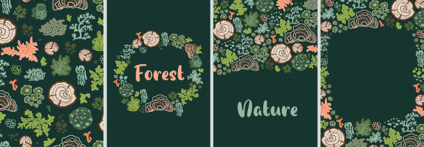 森林植物卡组。屏风上有地衣、苔藓、树桩等天然植物卡。林地植物矢量收集图片下载