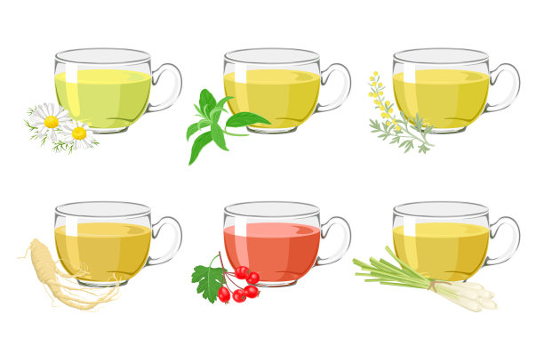 一套不同类型的草药茶。一杯装有艾草、人参、甘菊、山楂、马鞭草和柠檬草的玻璃杯。矢量卡通插图图片下载