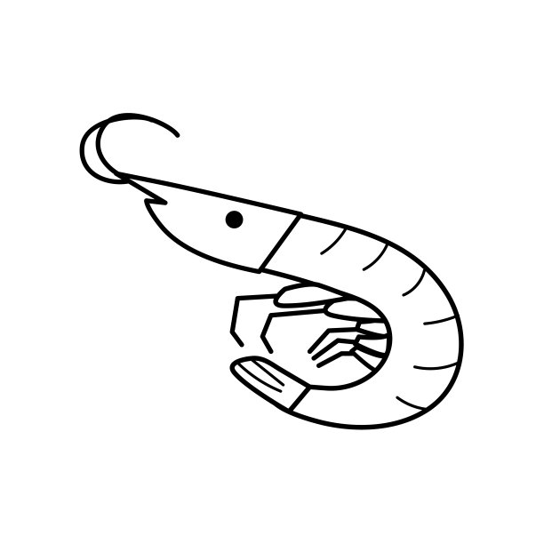 虾的简单线条绘图插图图片下载