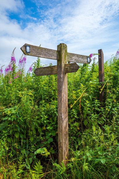 在蓝天下的田野上，木制的指示牌指示着方向图片下载
