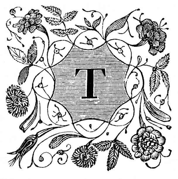 字母T，华丽的花卉设计图片下载