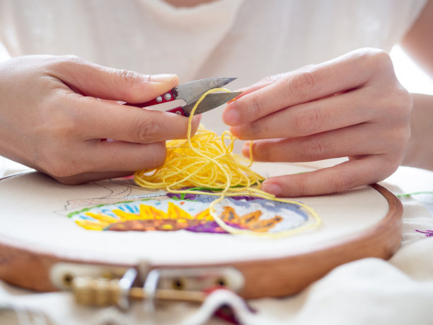 手工刺绣工艺爱好人脑心理健康心理精神艺术治疗心理感觉治疗脉轮身体双相障碍插图设计图案纺织工艺品精选重点图片下载