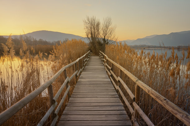 暮光时穿越沼泽的木栈道图片下载