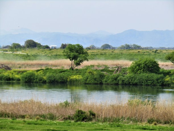 日本。晴朗的四月天。河的岸边Tone和蓝山在地平线上。图片下载