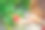 一名妇女手持从有机智能创新技术农场种植的草莓果实图片下载