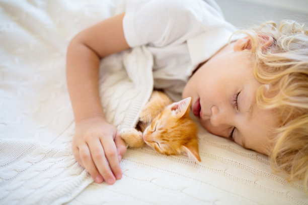 小男孩和小猫一起睡觉。孩子和猫。图片下载