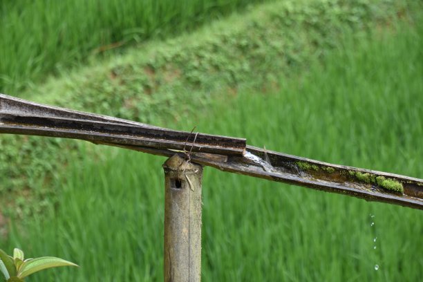 竹渡槽段与流水，萨帕图片下载