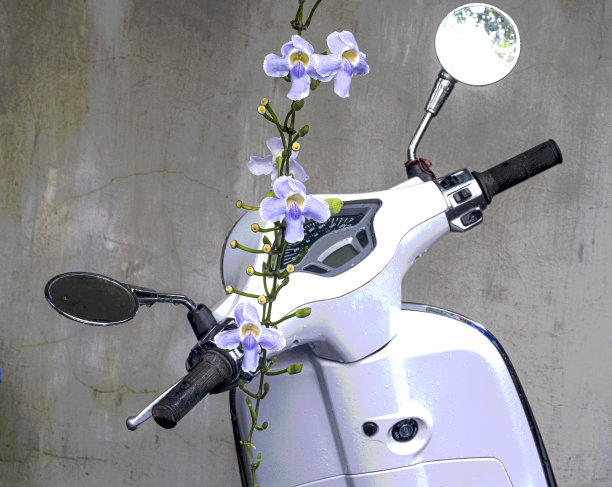 白色摩托车的插图与紫色的花垂下来图片下载