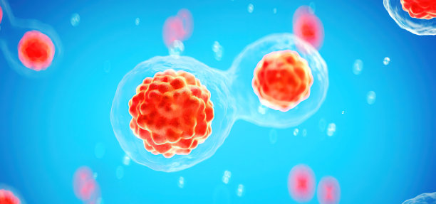 人类细胞或胚胎干细胞显微镜背景的3D渲染图片下载