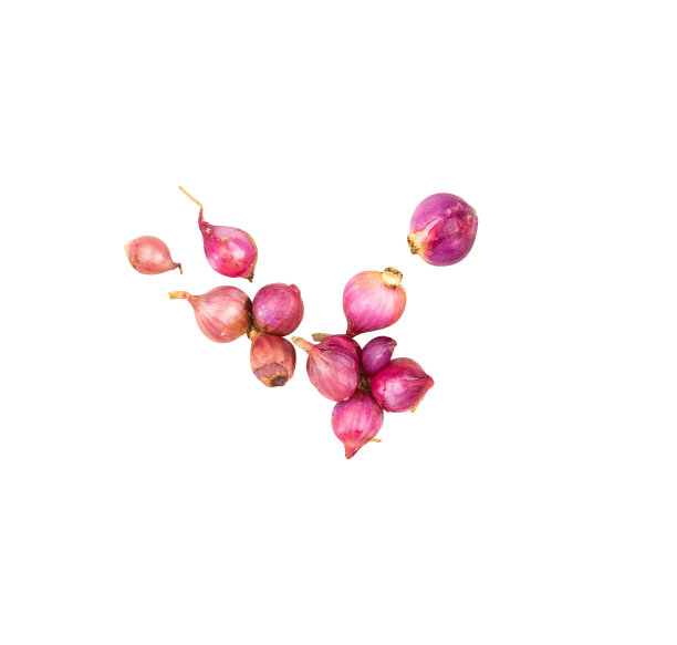 洋葱隔离的俯视图图片下载