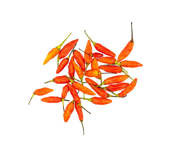 辣椒隔离的俯视图图片下载