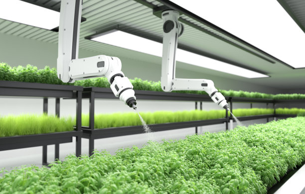 智能机器人农民给蔬菜绿色植物施肥，农业技术，农场自动化图片下载