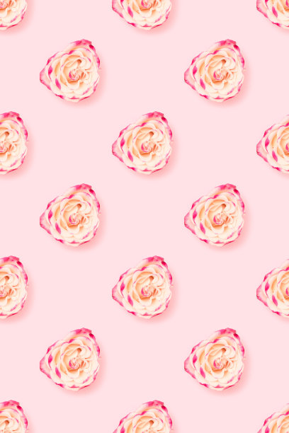 粉红色背景上的玫瑰图案。图片下载