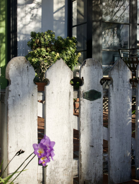 通往花园的肮脏的白色尖桩栅栏图片下载