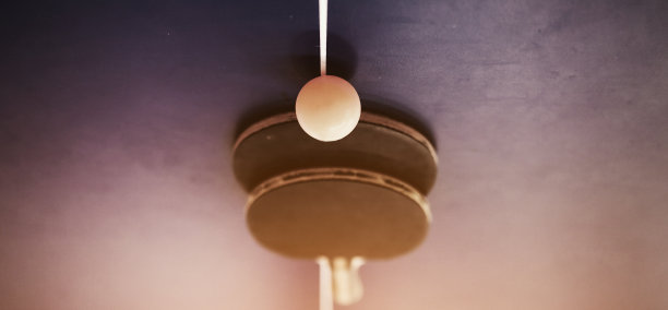 乒乓球用的网球拍图片下载