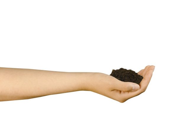 白色背景下，一只孤零零的女性手拿着一把土。图片下载