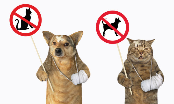 有禁酒标志的狗和猫图片下载