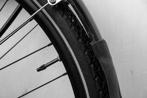 自行车车轮和气门。阀门类型Presta和Schrader。图片下载