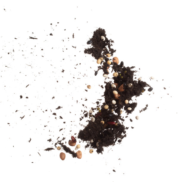 土壤肥料混合多种豆落飞。杂豆土壤肥料抽象云飞。土壤混合多粒豆种植溅停在空气中。白色背景隔离高速冻结图片下载