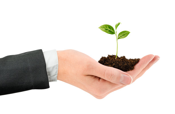 一只穿西装的手握着一颗嫩芽图片下载