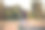 年轻男子与他的哈士奇狗跑在阳光明媚的早晨在大自然图片下载