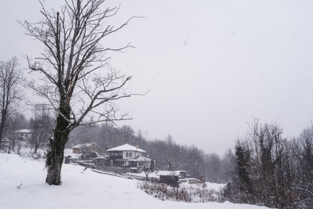 在复兴建筑群里，雪花飘落在美丽的老房子上图片下载
