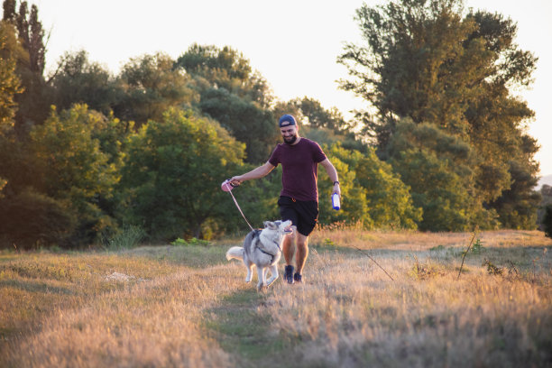 年轻男子与他的哈士奇狗跑在阳光明媚的早晨在大自然图片下载