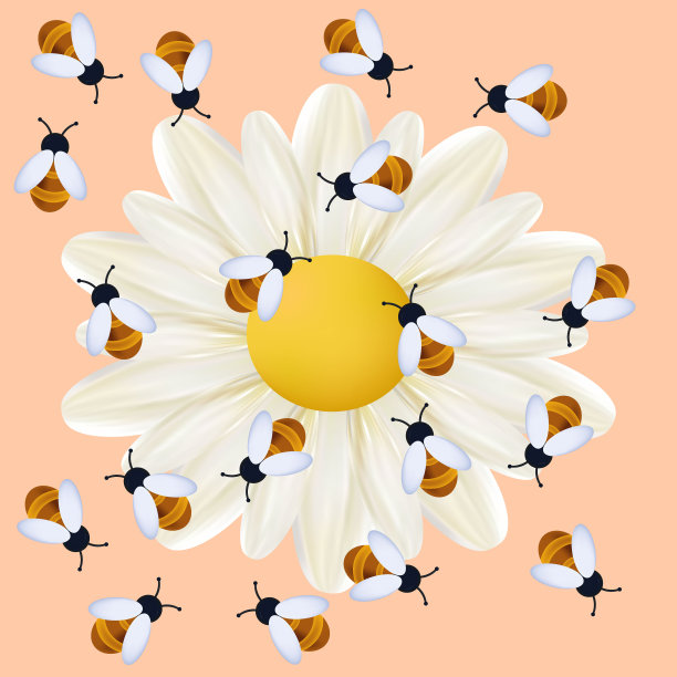 一群蜜蜂在蜂房里采蜜。矢量三维插图。这种昆虫为白色的洋甘菊或雏菊花授粉。黄色草地，环境。蜜蜂采集花粉。养蜂横幅。图片下载