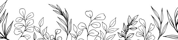 无缝边界，集图形矢量植物枝叶和花图片下载