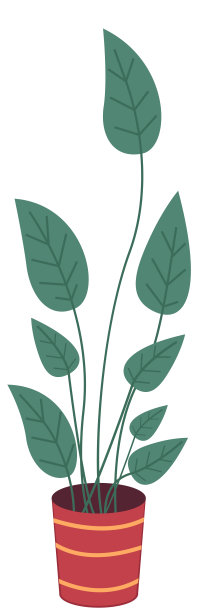 装饰用长叶绿色植物种植在陶瓷花盆中，花盆内装有室内植物。家居室内植物图片下载