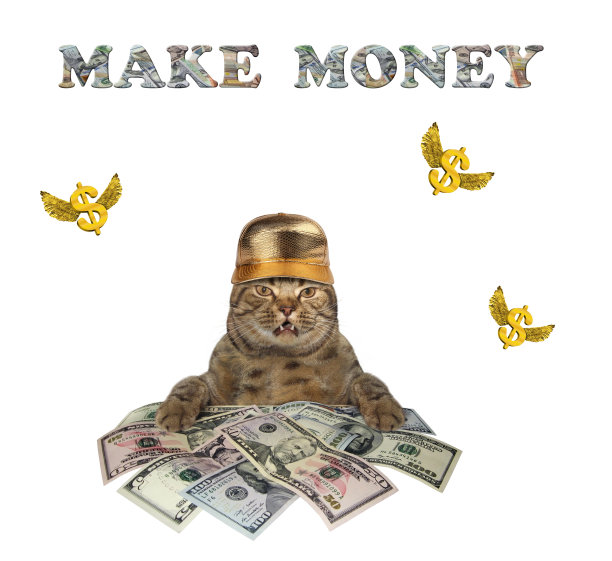 凯特赚了很多美元图片下载