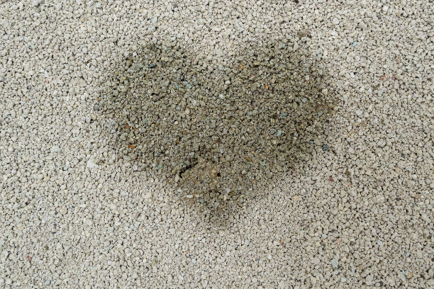 沙子表面动物尿心形图像。图片下载