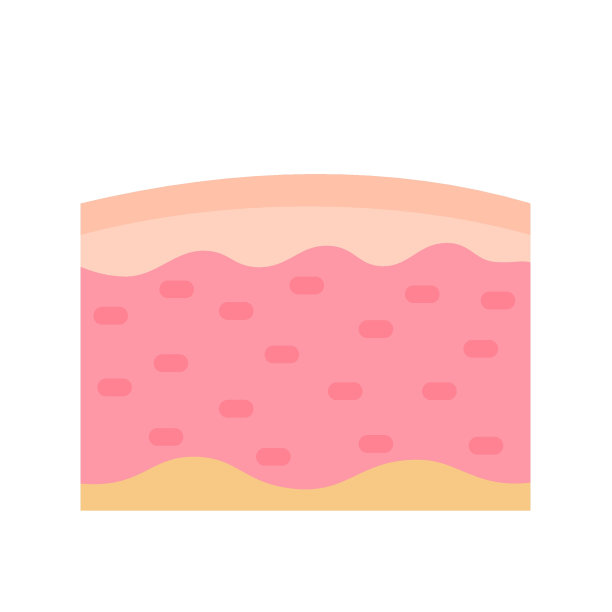 人体皮肤层用皮肤精华液保护皮肤免受日晒。图片下载